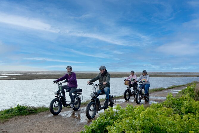 New Forest E-Bike Adventure - Key points to know before you book