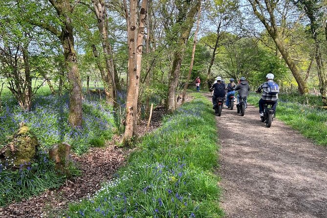 New Forest E-Bike Adventure - Why an e-bike makes sense in the New Forest