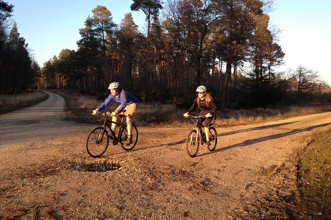 New Forest Sunset Bike Rides - Key points to know before you book