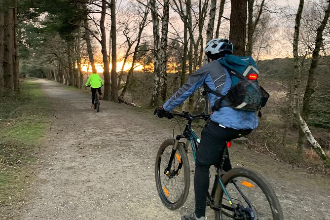 New Forest Sunset Bike Rides - Why the New Forest works so well at sunset