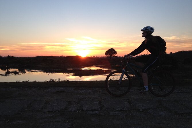 New Forest Sunset Bike Rides - Meeting at Brockenhurst station at 5pm
