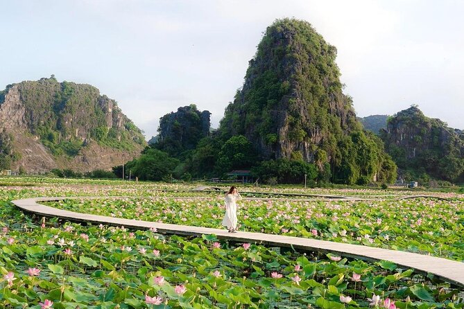 Ninh Binh 1 day trip with Hoa Lu- Tam Coc boat & Cycling village - Hoa Lu and the story of Vietnam’s first capital