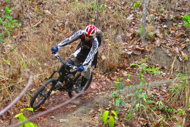 No.1 Chiang Mai: Advanced Downhill Mountain Biking, Suthep N.Park - Lunch and a Swim at Lake Huay Tueng Tao