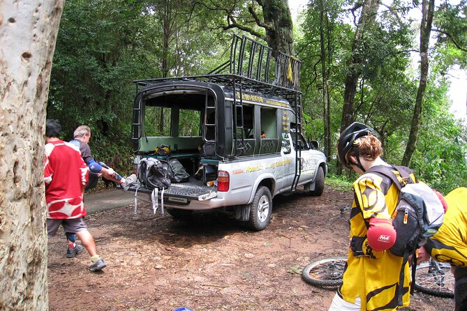 No.1 Chiang Mai: Advanced Downhill Mountain Biking, Suthep N.Park - Bikes, Safety Gear, and Support