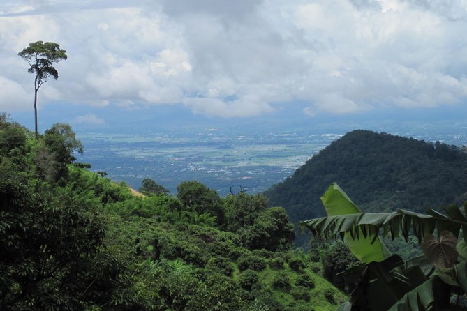 No.1 Chiang Mai: Advanced Downhill Mountain Biking, Suthep N.Park - Useful Details for a Smooth Morning