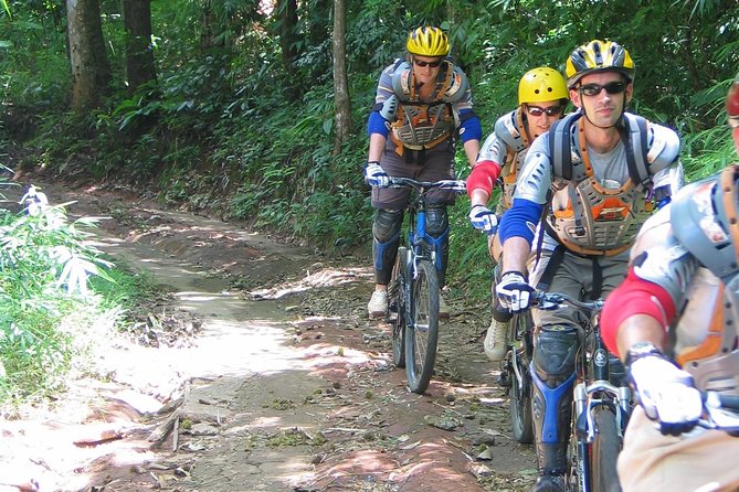 No.1 Chiang Mai: Advanced Downhill Mountain Biking, Suthep N.Park - Four Hours on Forest Tracks and Rough Single-Track