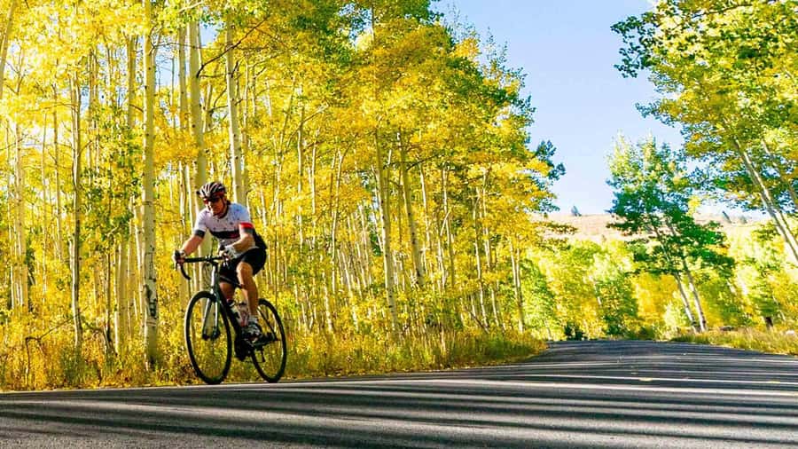 NON BUS Traverse MOVIE STARS Old Mission Bike Wine Tour - Key points to know before you book
