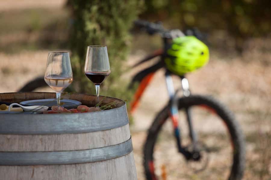 NON BUS Traverse MOVIE STARS Old Mission Bike Wine Tour - The ride to Bowers Harbor Vineyards