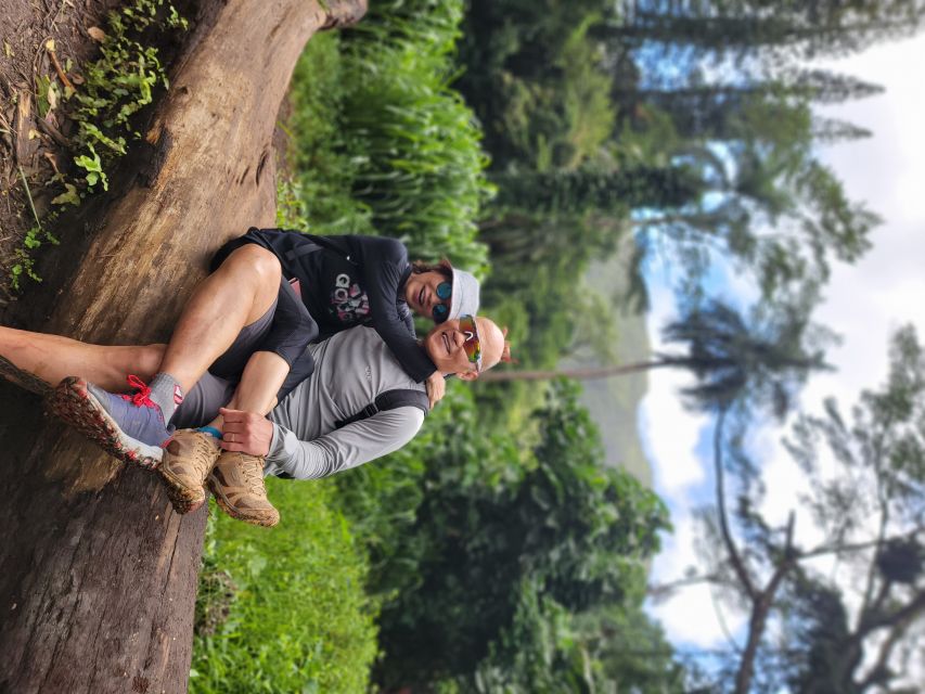 Oahu: Waikiki E-Bike Ride and Manoa Falls Hike - How much value do you get for $199?