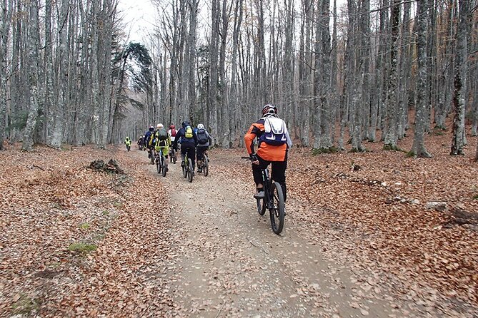 Olympus Mountain Biking - Rides tailored to you - Why the mountain lake makes this ride worthwhile