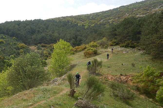 Olympus Mountain Biking - Rides tailored to you - A guide-led ride that adjusts to your ability