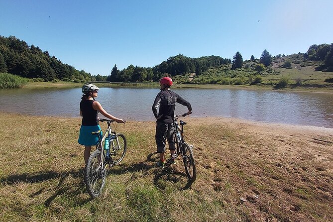 Olympus Mountain Biking - Rides tailored to you - Should you book it?