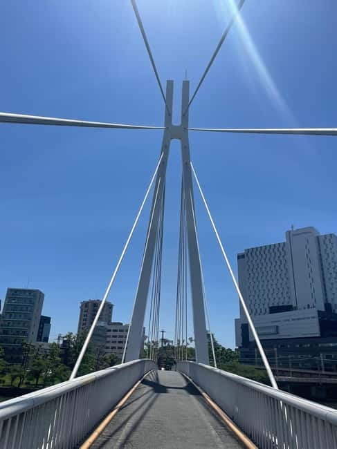 Osaka: Bike Adventure with Lunch - Why a bicycle works so well in Osaka