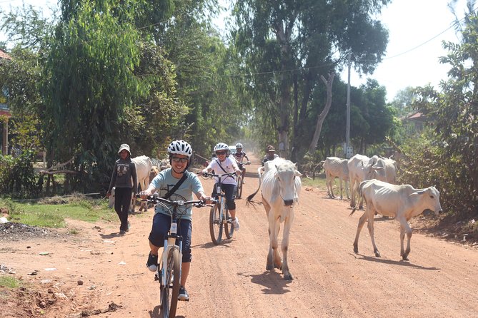 Oudong Mountain And Floating Village Cycle Tour - How hard is the cycling?