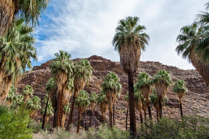Palm Springs Indian Canyons Bike and Hike - What makes this tour worth your morning