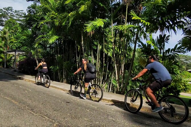 Panama Canal Zone Bike Tour By Paradox Experience - Key points at a glance