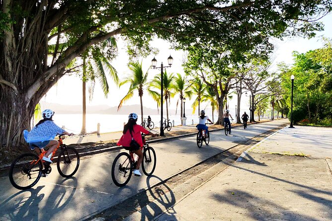 Panama Canal Zone Bike Tour By Paradox Experience - Seeing everyday Panama City