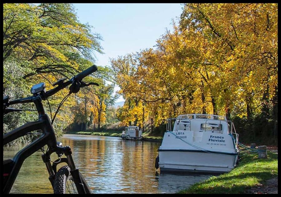 Panoramic Toulouse, e-bike ride, and cable car - Returning under the Canal du Midi plane trees