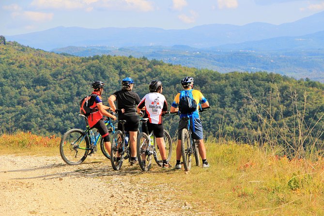 Parenzana Trail Full Day Cycling Tour from Pula, Rovinj, Poreč or Buje - Crossing the Mirna Valley to Motovun