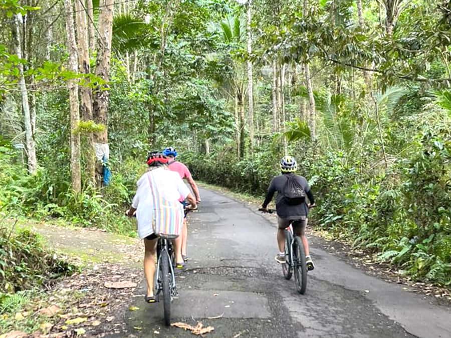 Pedal Through Paradise: Bali Wanderlust Sidemen Cycling Tour - Key points to know before you book