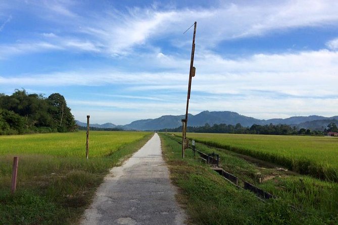 Penang Balik Pulau Countryside Morning Cycling with Transfers - The vegetable farm and a working countryside