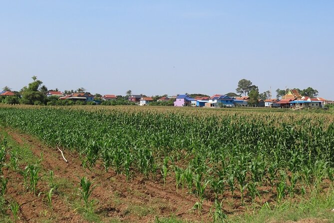 Phnom Penh Countryside Cycle Tour - How much value do you get for $45?