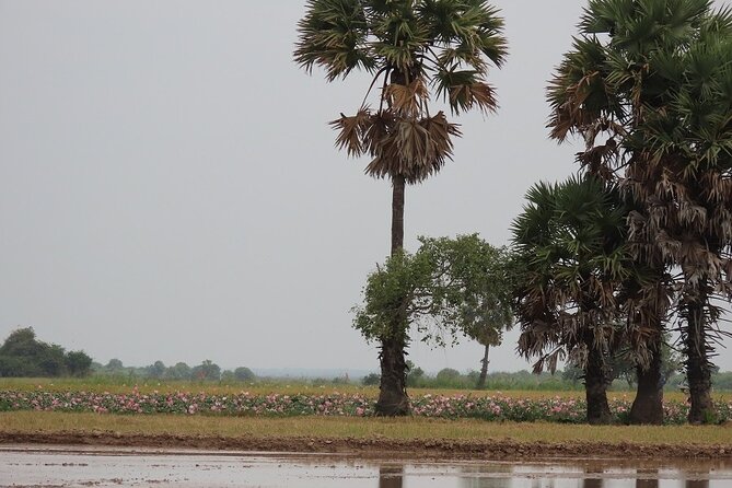 Phnom Penh Countryside Cycle Tour - Bikes, fitness, and group size