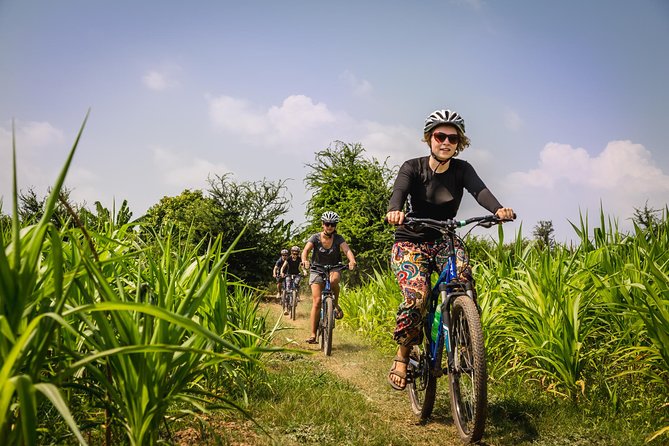 Phnom Penh: Cycling Adventure on Islands of the Mekong - Orchards, market gardens, and island life