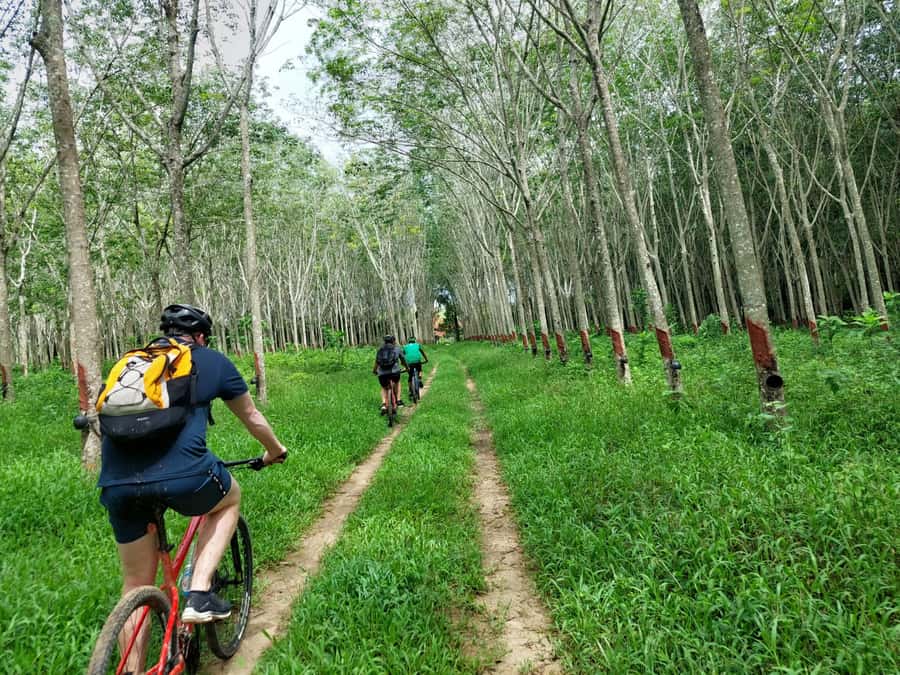 Phuket: Half-Day Countryside Cycling Tour with Lunch - Key points at a glance