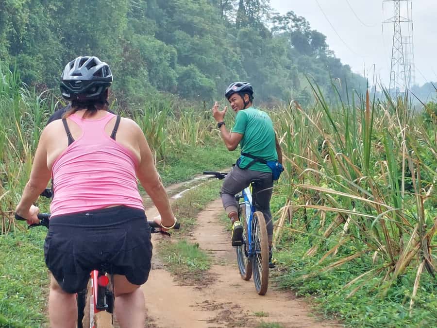 Phuket: Half-Day Countryside Cycling Tour with Lunch - Why this ride shows you a quieter Phuket