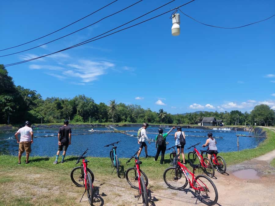 Phuket: Half-Day Countryside Cycling Tour with Lunch - A 30-minute village break with fresh coconut