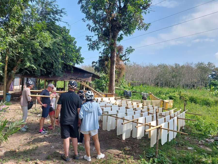 Phuket: Half-Day Countryside Cycling Tour with Lunch - Is $73 a fair price?