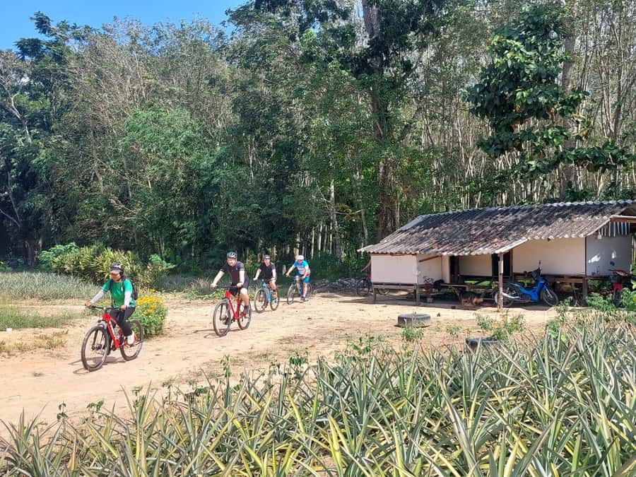 Phuket: Half-Day Countryside Cycling Tour with Lunch - What to bring and how to judge the difficulty