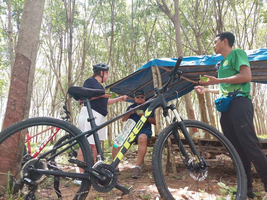 Phuket: Half-Day Countryside Cycling Tour with Lunch - From your hotel to Muang Mai