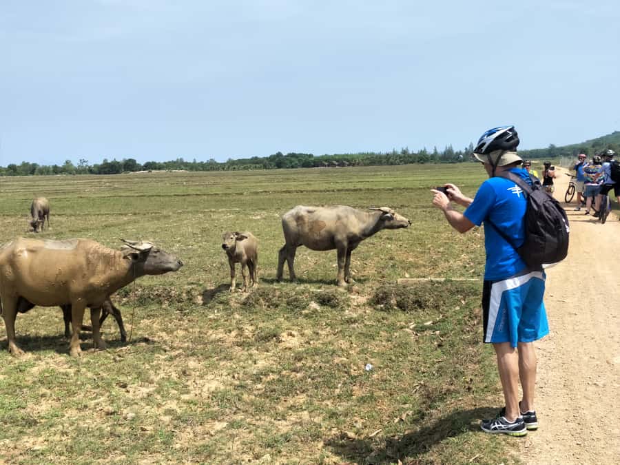 Phuket: Yao Island Cycling and Beach Day-Trip - Who should book this cycling day