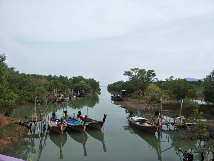 Phuket: Yao Island Cycling and Beach Day-Trip - Why Koh Yao Noi works so well by bicycle