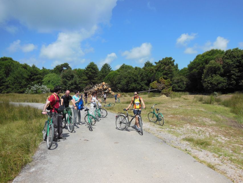 Pisa: Self-Guided Bike Tour to Lucca - How the App Changes the Experience