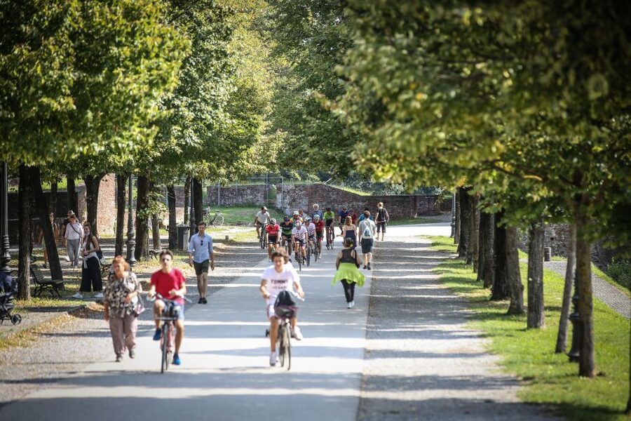 Pisa: Self-Guided Bike Tour to Lucca - Is $40 a Fair Price?