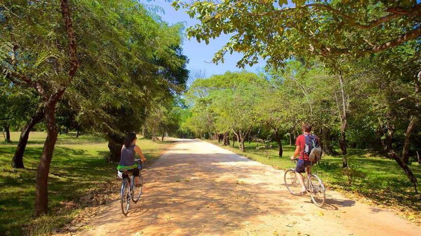 Polonnaruwa: All Inclusive Ancient City Guided Cycling Tour - Meeting your guide and getting ready to ride