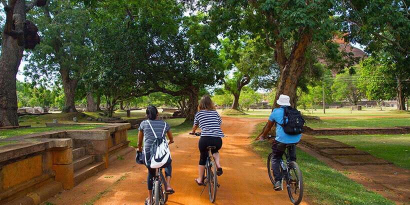 Polonnaruwa: All Inclusive Ancient City Guided Cycling Tour - The physical side of a 10 km ride