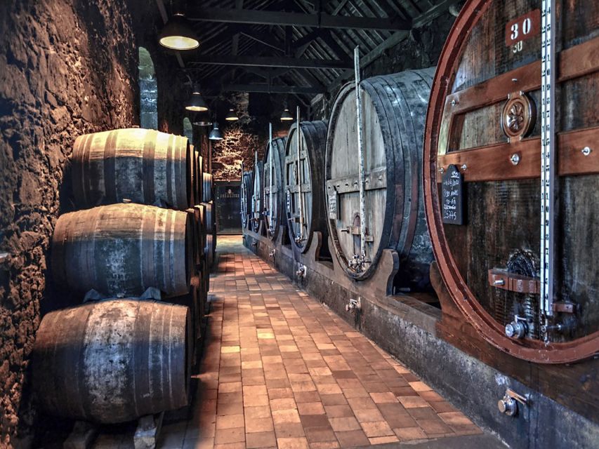 Porto: Self-Guided Bike and Boat Tour with Port Wine Tasting - How to organize the day