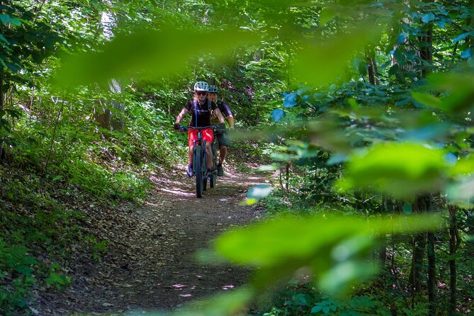 Prague E-Mountain Biking Adventure In The Bohemian Paradise - Valdstejn Castle adds a strong lunch stop