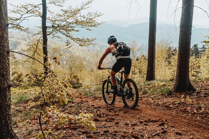 Prague E-Mountain Biking Adventure In The Bohemian Paradise - Trosky Castle gives the day its final flourish