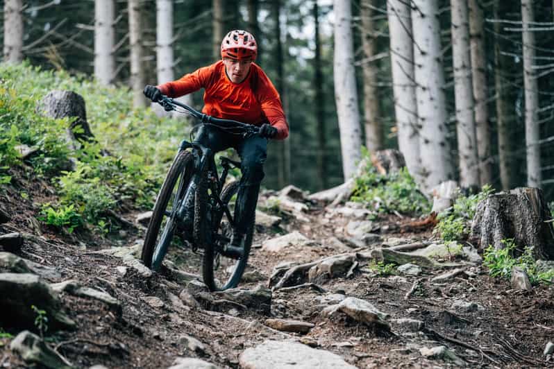 Prague Mountain Biking: Blast Through The Best Singletracks - Forest singletracks and the choice of difficulty