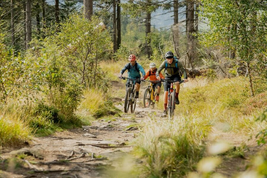 Prague Mountain Biking: Blast Through The Best Singletracks - Practical details that affect your decision