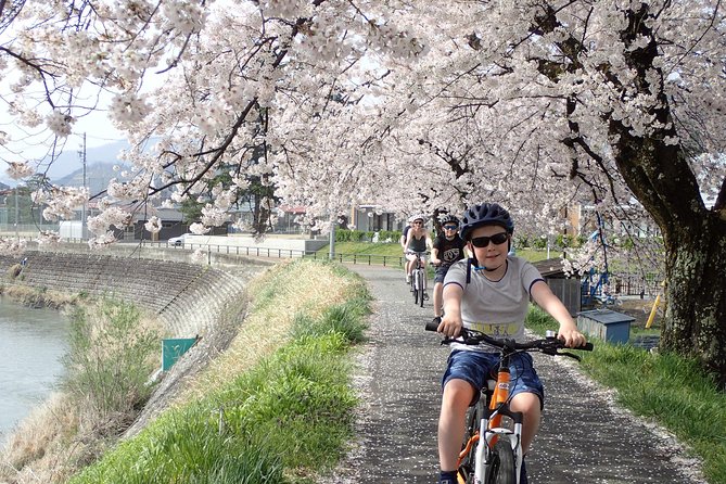 Private Afternoon Cycling Tour in Hida-Furukawa - Is $214.48 per person good value?
