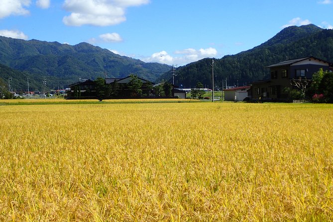 Private Afternoon Cycling Tour in Hida-Furukawa - The old town opening sets the tone