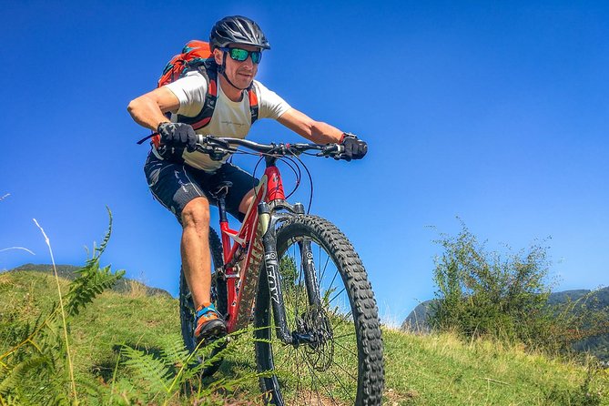 Private Biking Tour in Bohinj Valley - Coffee, strudel, and short walks