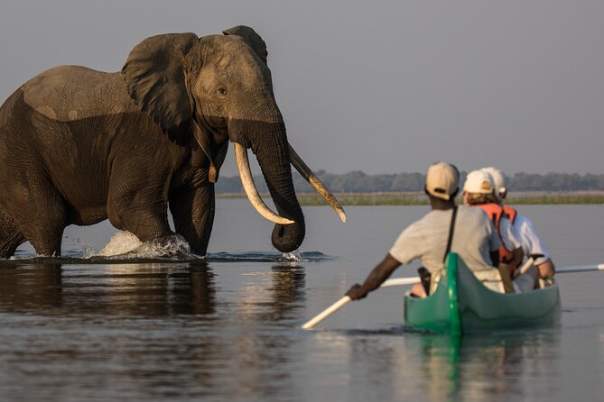 Private Canoeing, Cycling, Coffee and Hiking Tour in lake Duluti. - A Full Morning at Lake Duluti