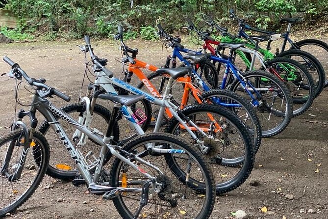 Private Canoeing, Cycling, Coffee and Hiking Tour in lake Duluti. - Canoeing on Lake Duluti